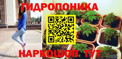 сатива Канаш