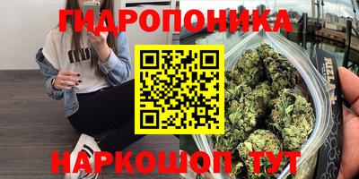 круглые Камышлов